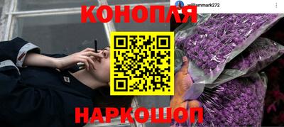 стаф Кандалакша