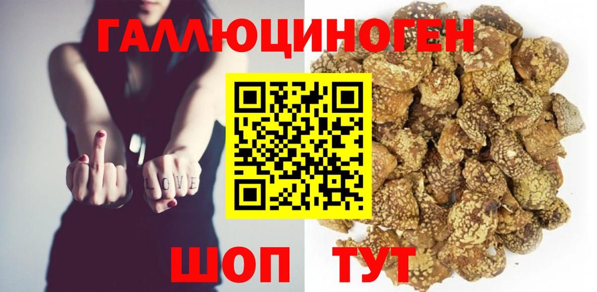 Галлюциногенные грибы Cubensis Елизово