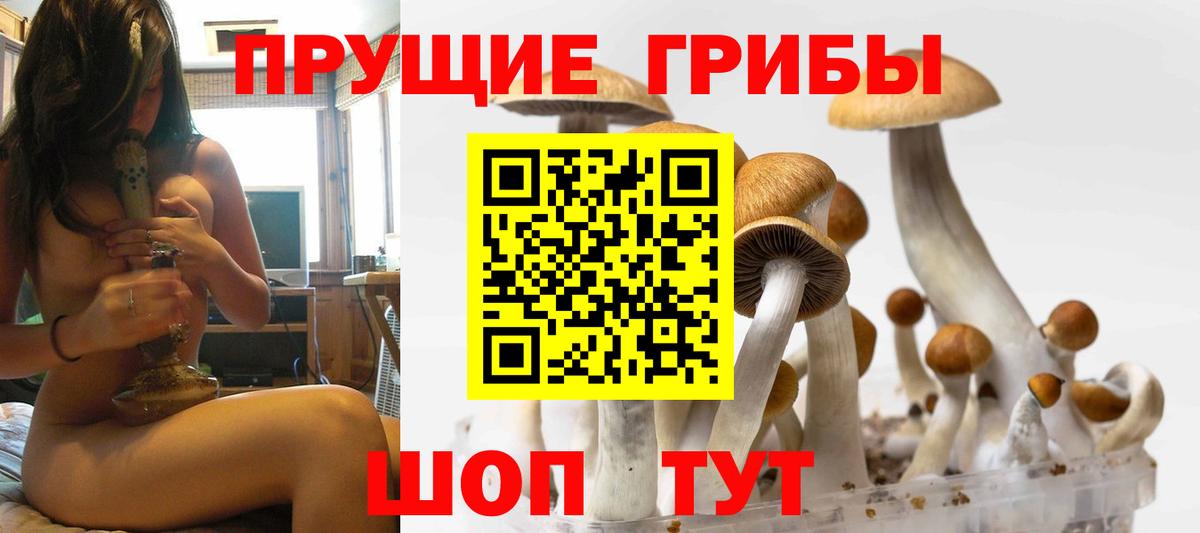 Галлюциногенные грибы мухоморы  Вход с VPN  Елизово  Псилоцибиновые грибы GOLDEN TEACHER 